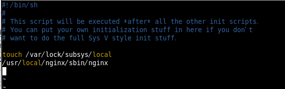Java培训之Nginx启动