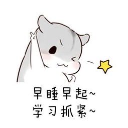 前端培训面试题